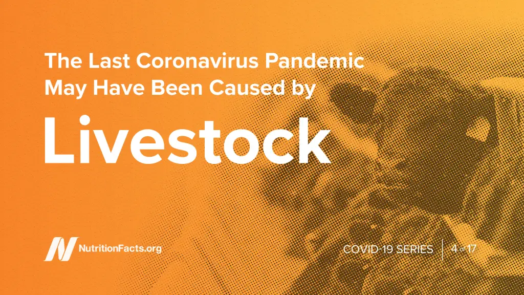 The Last Coronavirus Pandemic May Have Been Caused by Livestock