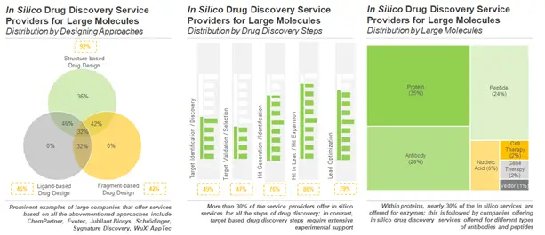 In Silico / Computer-Aided Drug Discovery Service Providers for Large Molecules