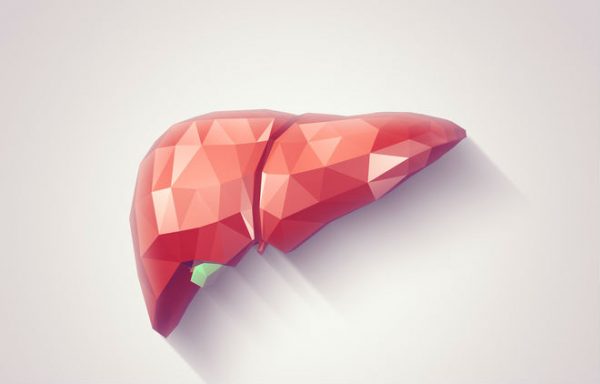 graphic design of a liver