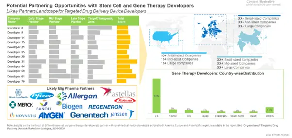 Potential Opportunity for Cell and Gene Therapy Developers