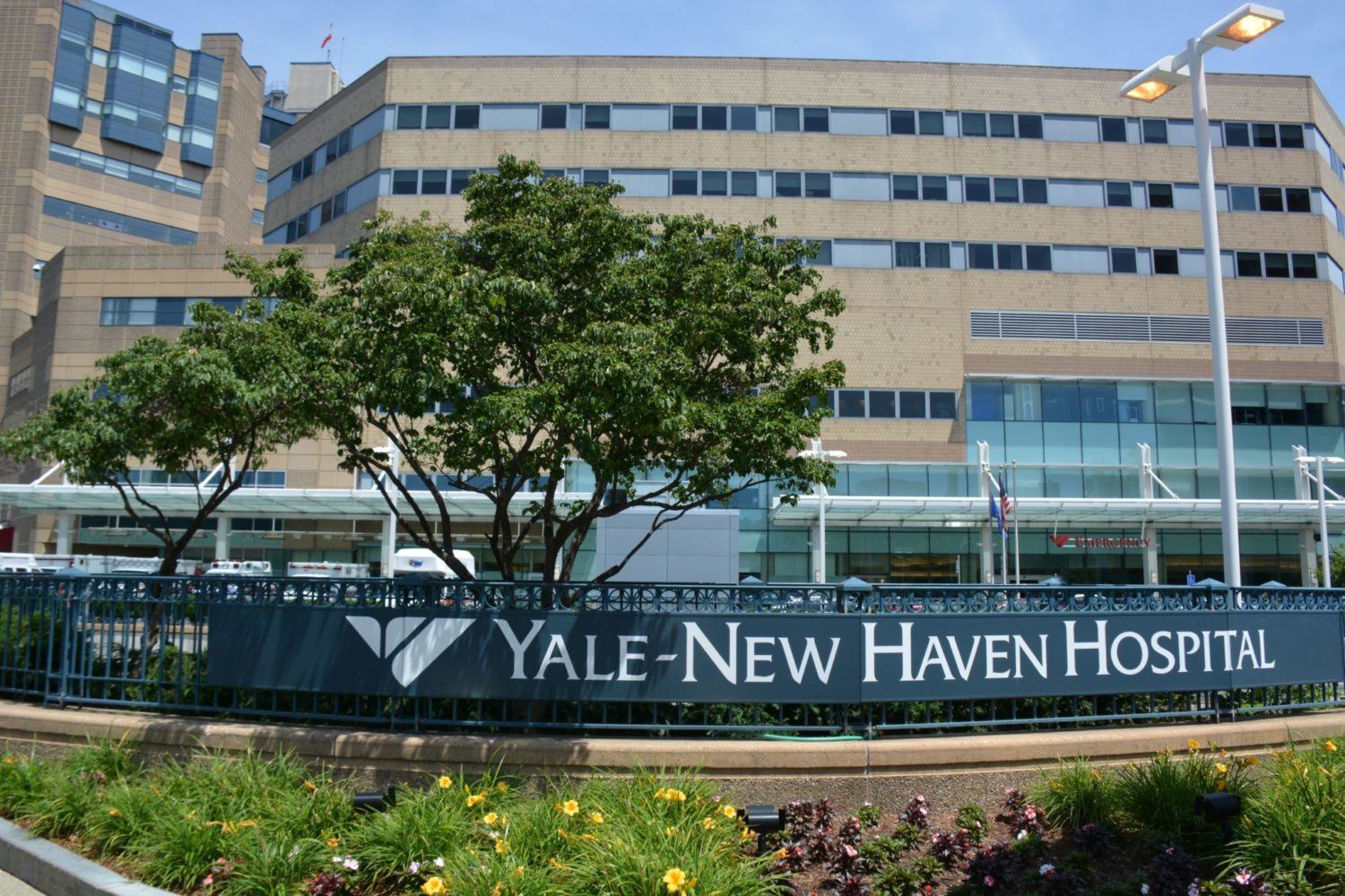 How Yale-New Haven Uses IPA in Revenue Cycle to Tackle Inefficiency