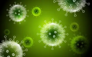 Coronavirus particles in white on a bright green background