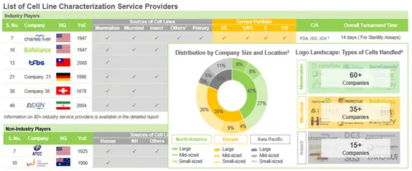 An Ocean of Opportunities for Service Providers