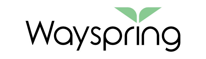 axialHealthcare Rebrands as Wayspring, Raises $75M for Value-Based Care Solution