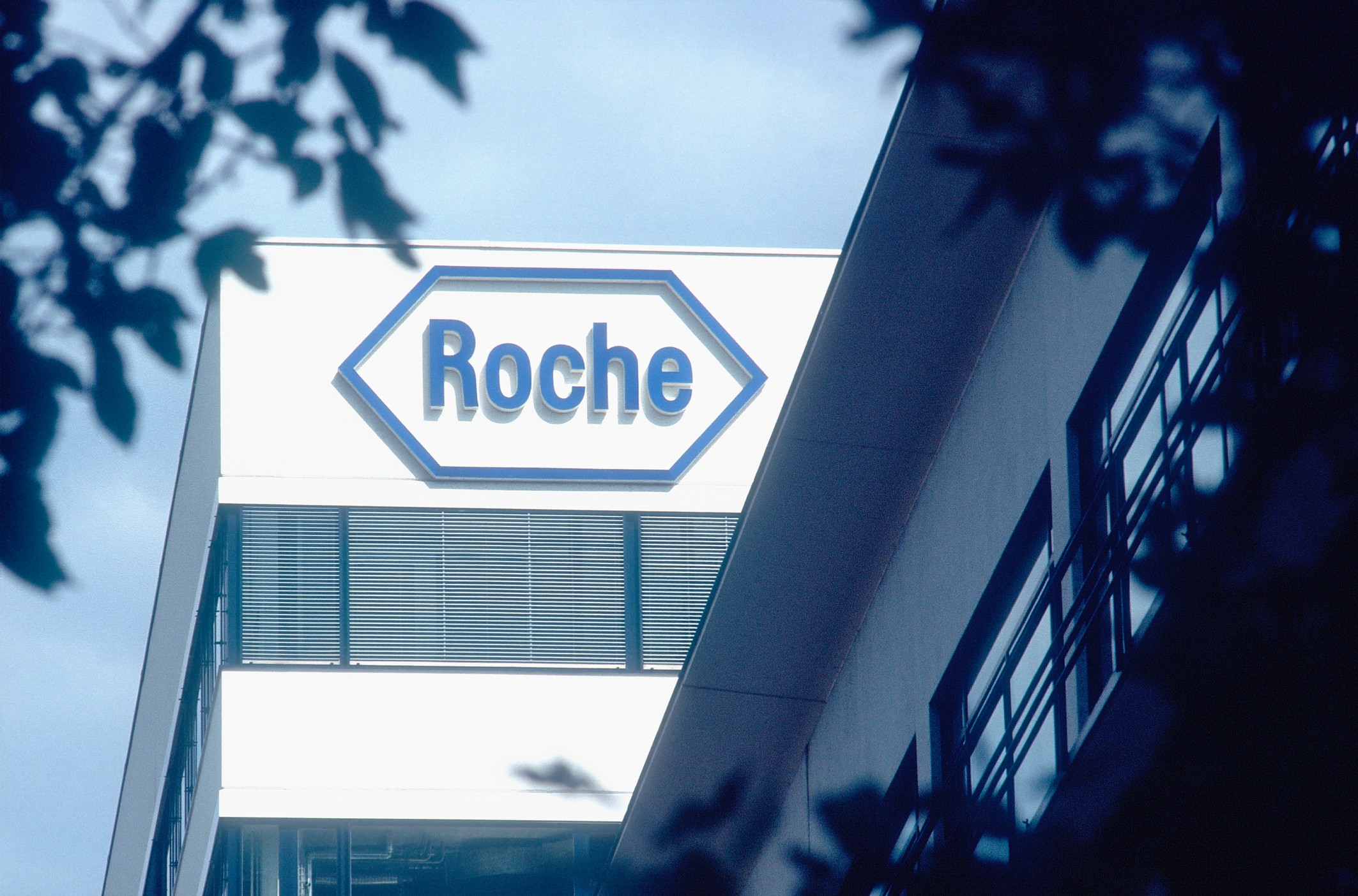 Roche Rituxan approval