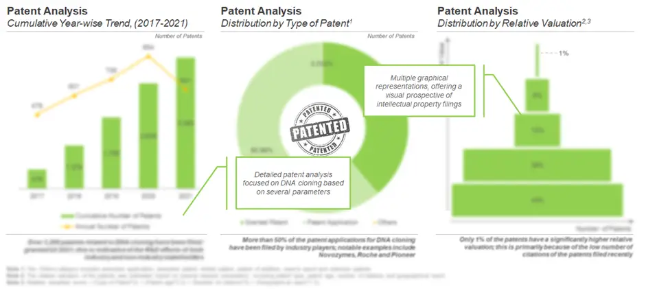High Number of Patents are Suggestive of the Widespread Research in this Domain