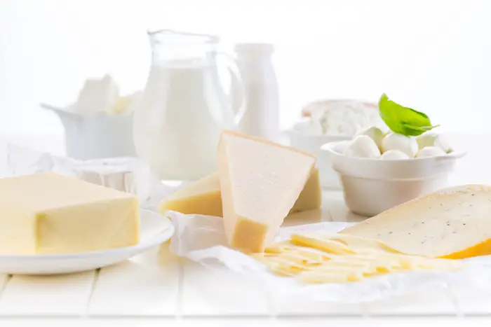 dairy milk cheese | what is protein
