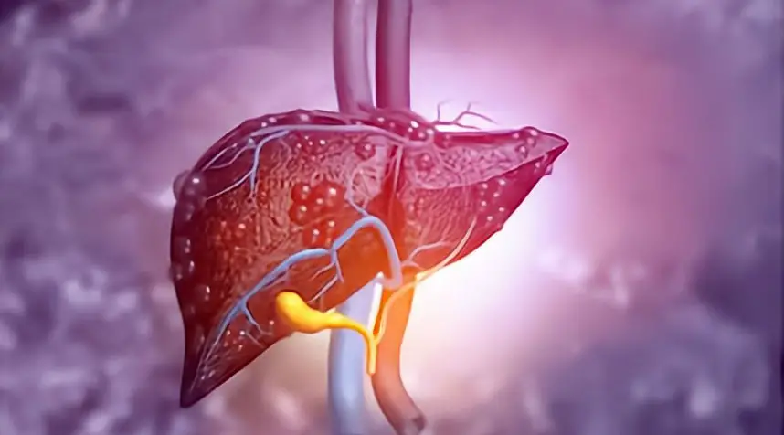 Pros and cons of liver transplant - Regeneration of liver