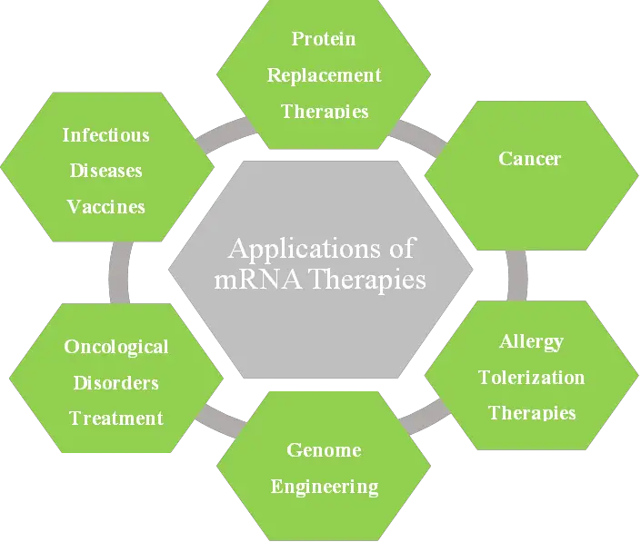 Applications of mRNA Vaccines and Therapeutics