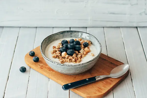 bowl of yogurt and granola | Fermented Foods
